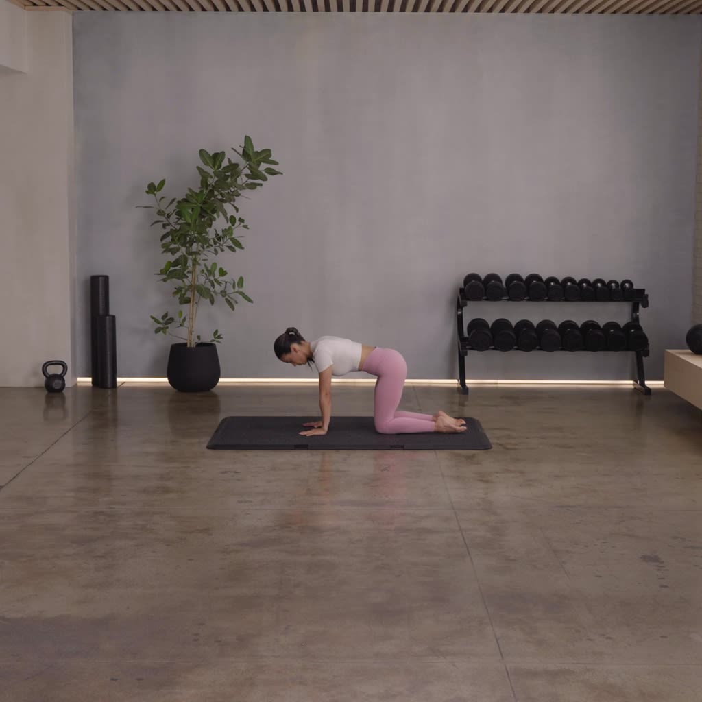 Upper Body Dumbbell